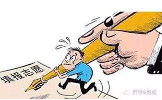 填志愿，填的真是自愿嗎？——中高考志愿填報咨詢背后的思考